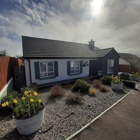 Bed and Breakfast Number 14 Downpatrick Exteriér fotografie