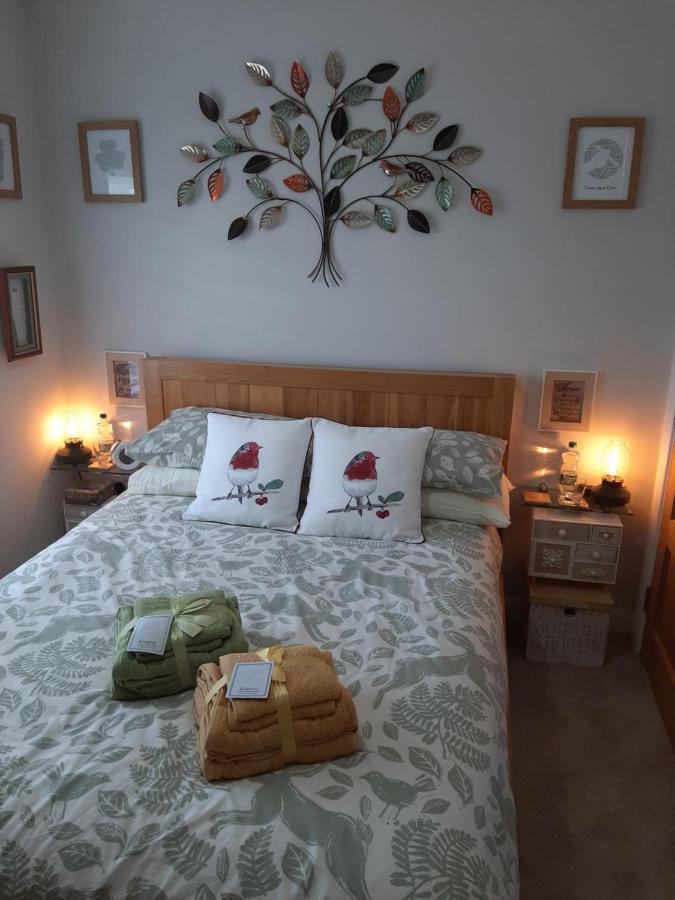 Bed and Breakfast Number 14 Downpatrick Exteriér fotografie