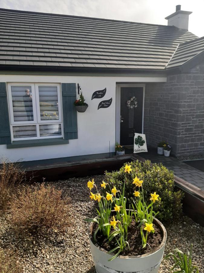 Bed and Breakfast Number 14 Downpatrick Exteriér fotografie