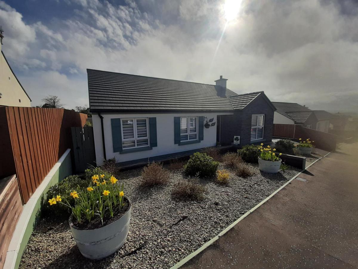 Bed and Breakfast Number 14 Downpatrick Exteriér fotografie